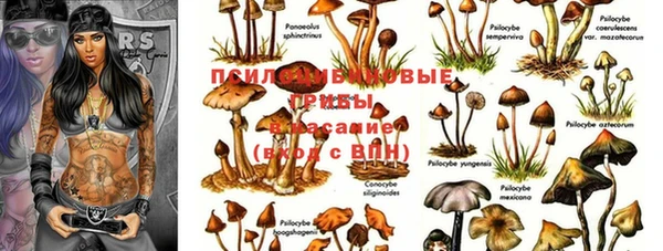 круглые Волосово