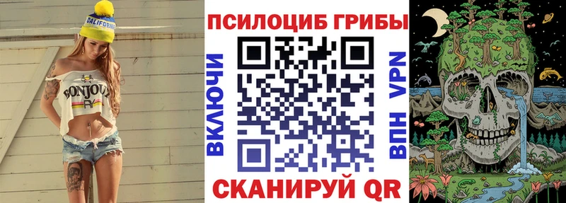как найти наркотики  Самара  Псилоцибиновые грибы Psilocybine cubensis 